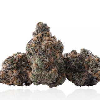 Purple Lemon Punch Dolla Trees