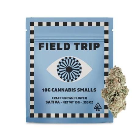 Jungle Bird Field Trip