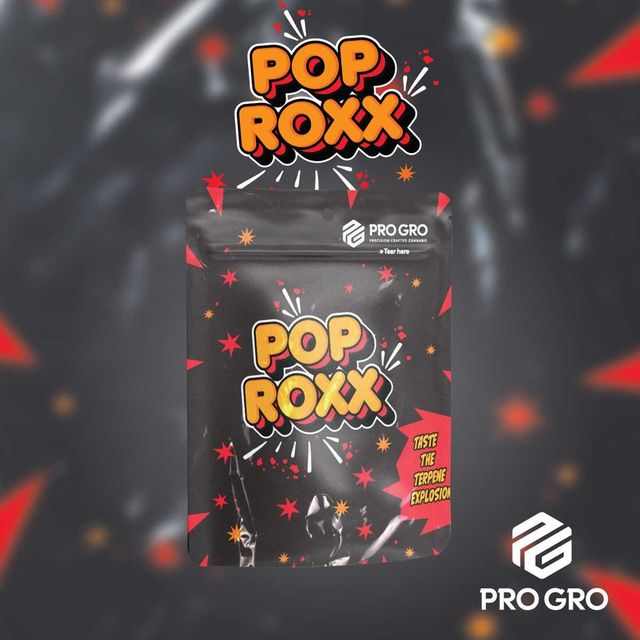 Pop Roxx Pro Gro