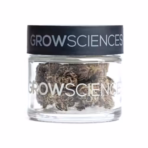 Scented Marker Grow Sciences