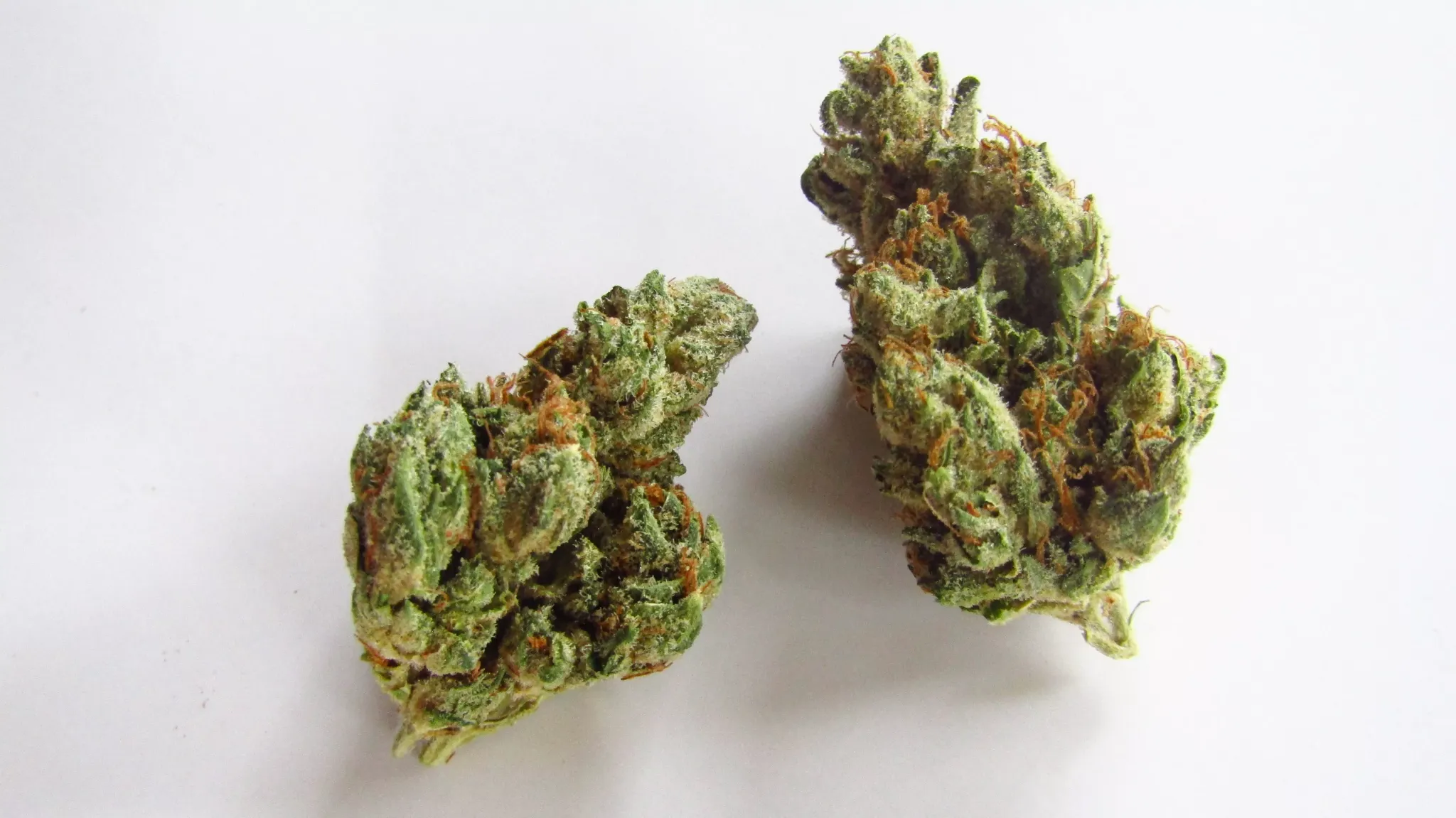 I Platinum Kush Breath I AF
