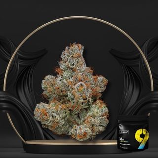 LA Piff Clade 9