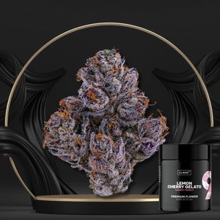 Lemon Cherry Gelato Clade 9