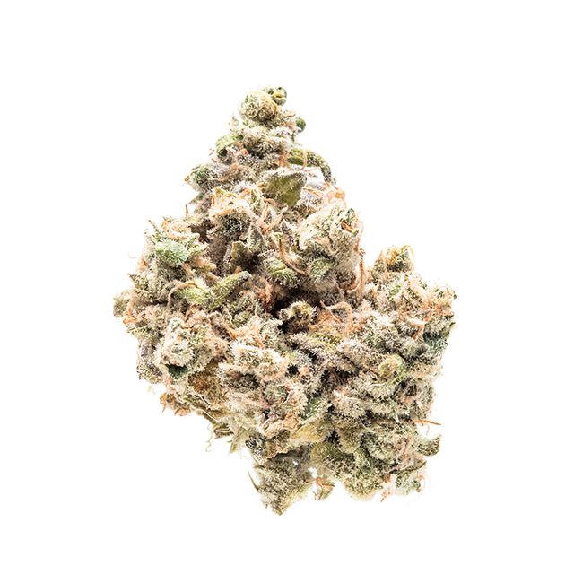 Grape Stomper Makru Farms