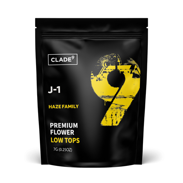 J1 |  Clade 9