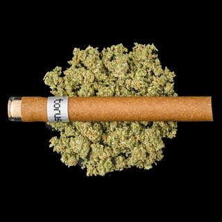 P85 Glass Tip GARDEN STATE EXOTIX