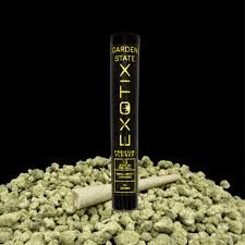White Runtz #2 GARDEN STATE EXOTIX