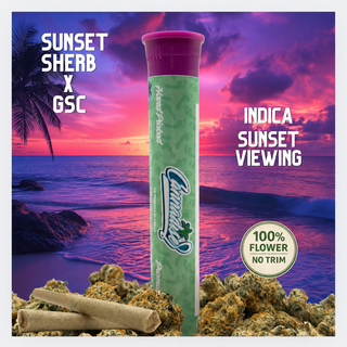 Sunset Sherb x GSC GARDEN STATE EXOTIX