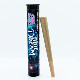 Blue Dream GARDEN STATE EXOTIX
