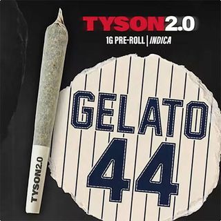 Gelato 44  Tyson 2.0
