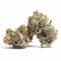 GovernMint Oasis Cannabis Cured