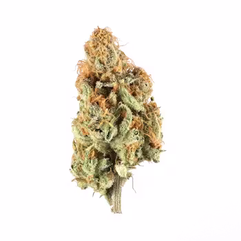 Animal Mint Cake Authorized Dealers