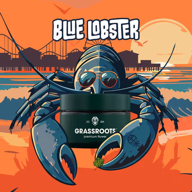 Blue Lobster 7g Grassroots