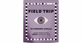 G33 Field Trip
