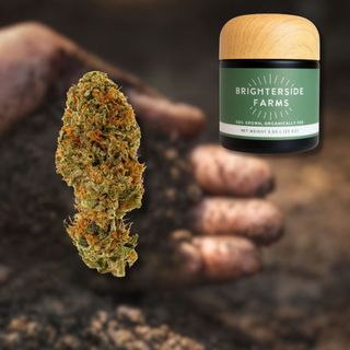 Choco Sour Diesel Brighterside