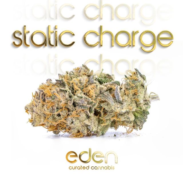 Static Charge ShMediums