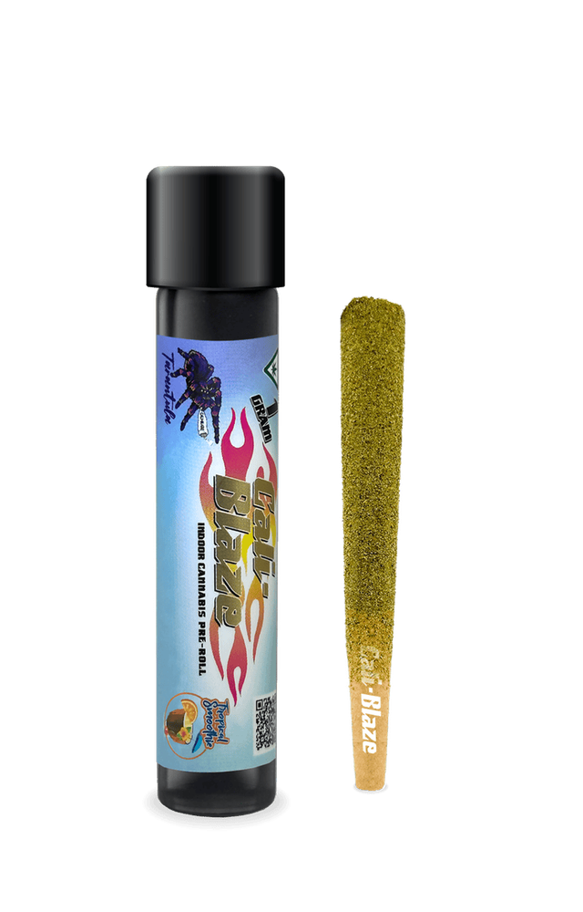 Tropical Smoothie 1G Tarantula Infused Pre-Roll Cali-Blaze Tropical Smoothie 1G Tarantula Infused Pre-Roll Cali-Blaze