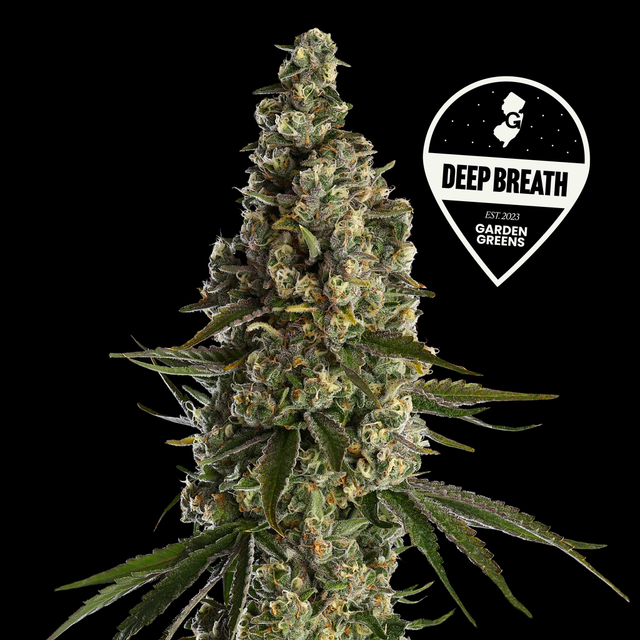 Deep Breath | Garden Greens