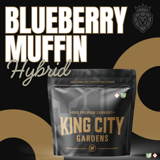 Blueberry Muffin  King City Gardens