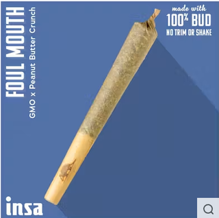 Foul Mouth Insa