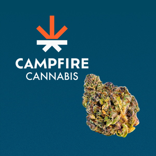 Pink Lemonade Campfire Cannabis