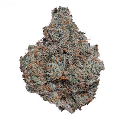 Jack Herer Aeriz Jack Herer Aeriz