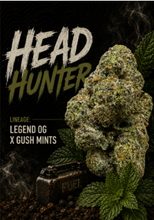 Head Hunter The Goods