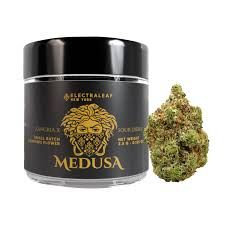 Medusa  Electraleaf