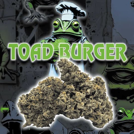 Toad Burger Green Dragon Toad Burger Green Dragon