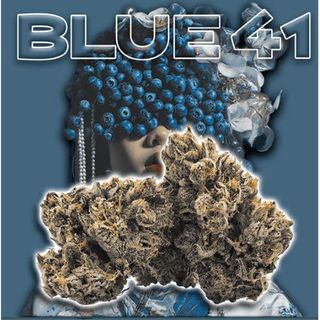 Blue 41 Green Dragon