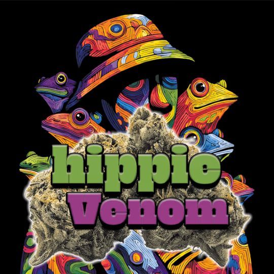 Hippie Venom Green Dragon Hippie Venom Green Dragon