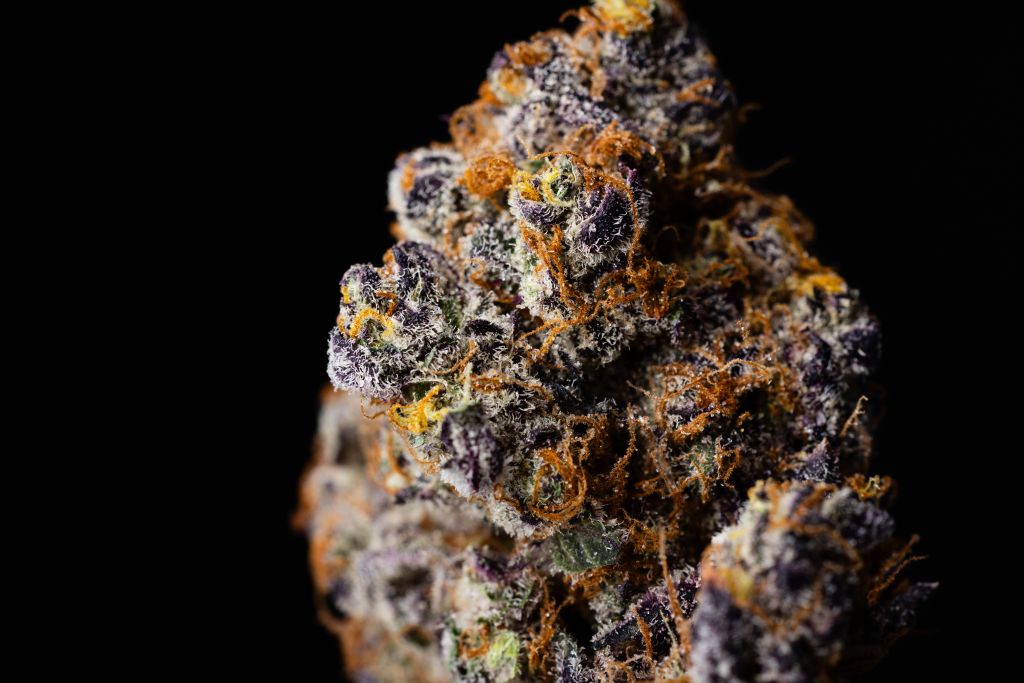 Orange Cannoli