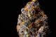 Orange Cannoli allday. Orange Cannoli allday.
