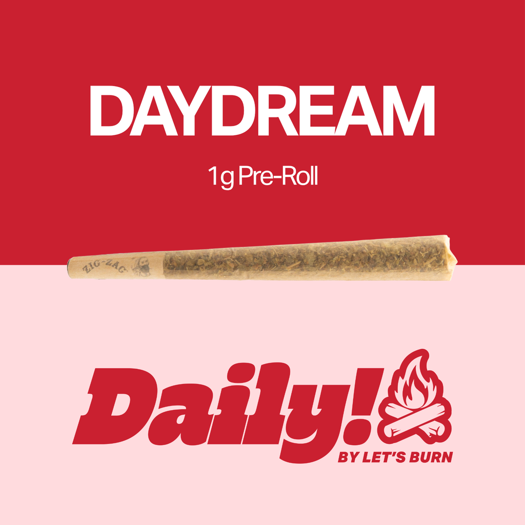Daydream