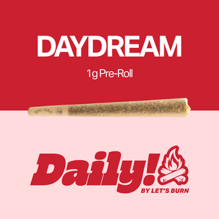 Daydream  Daily!