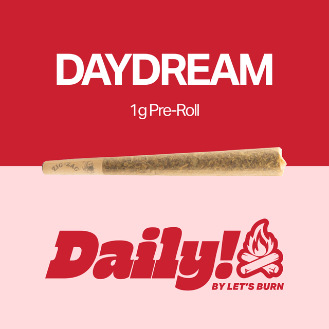 Daydream  Daily!