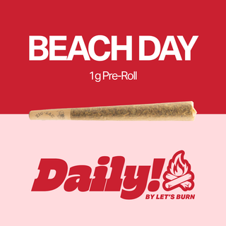 Beach Day  Daily!