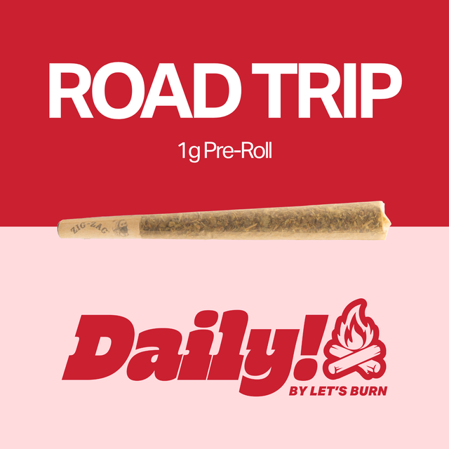 Road Trip  Daily!