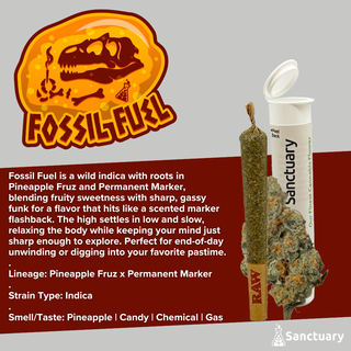 Fossil Fuel Sanctuary