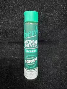 Animal Cookie Herb