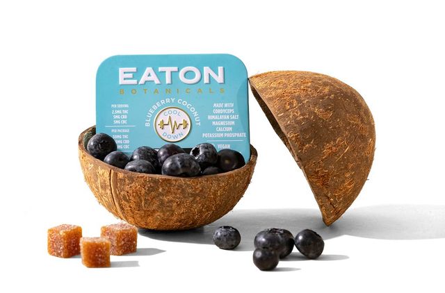 Blueberry Coconut | Cooldown Eaton Botanicals