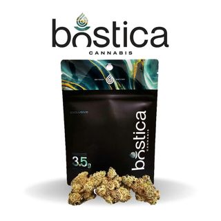 Scotch & Soda 3.5G Flower Bostica