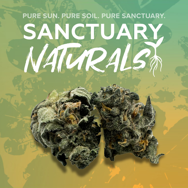 ZMints Sanctuary Cannabis