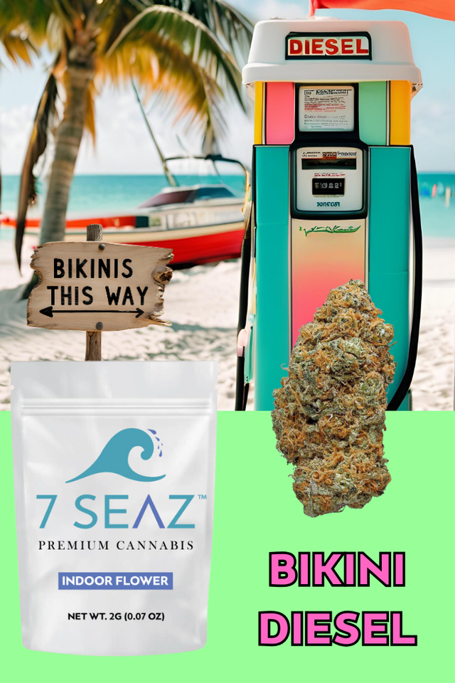 Bikini Diesel 7 Seaz