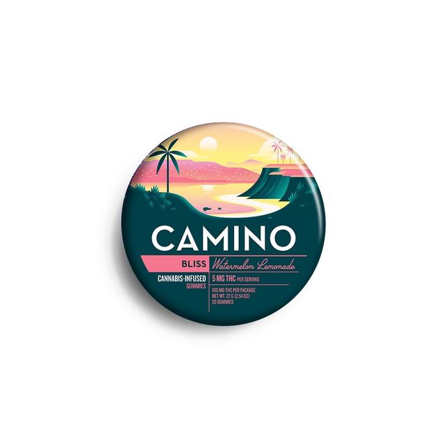 Watermelon Lemonade | Bliss Camino