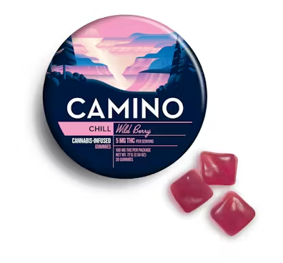 Wild Berry | Chill Camino