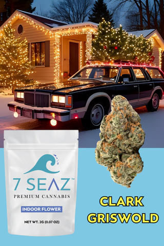 Clark Griswold 7 Seaz