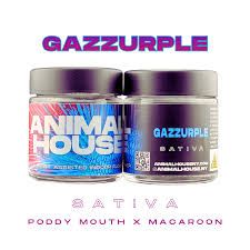 Gazzurple Animal House