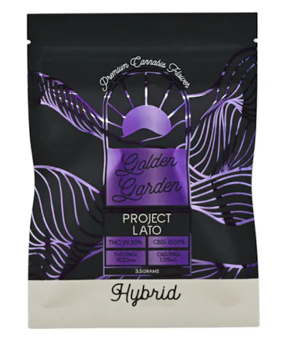 Project Lato