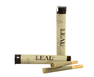 Royal Highness Leal